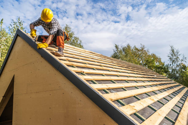 Best Storm Damage Roof Repair  in Livingston, TX