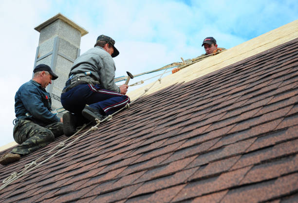 Best Tile Roofing Contractor  in Livingston, TX