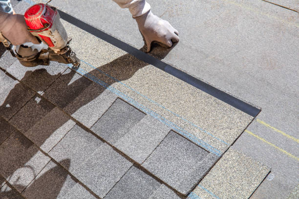 Best Roofing Contractor Near Me  in Livingston, TX