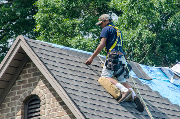 Best Gutter Installation and Roofing  in Livingston, TX